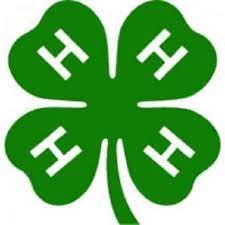 An image of the 4-H logo, a green four leaf clover with a capital H on each leaf.