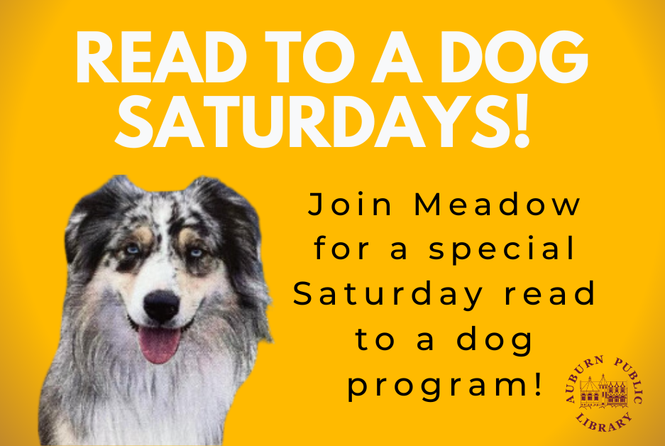 Read to a dog Saturdays