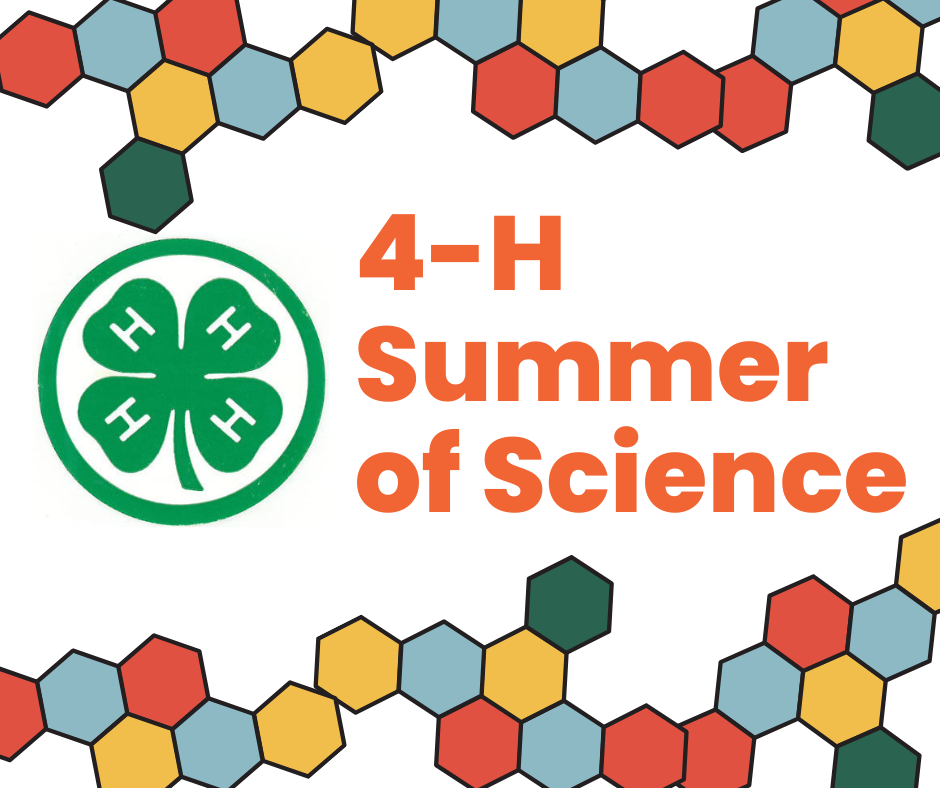 Bold orange text reads, "4-H Summer of Science." The 4-H logo is on the left side in emerald green. It is a four leaf clover with a capital H in each leaf. The upper and lower borders are colorful hexagons that look reminiscent of a honeycomb.