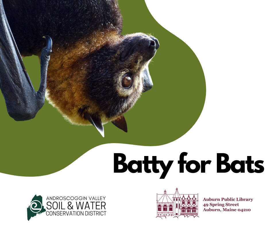 A bat hangs from the upper left corner over an abstract field of green. Bold black text says, "Batty for Bats" in the lower right corner. The bottom of the image has two logos. One for the library on the right, and one for the Androscoggin Valley Soil & Water Conservation District on the lower left.