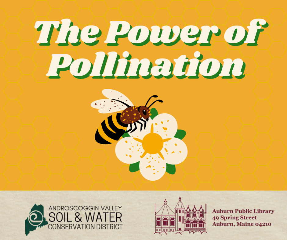 Bold text states, "The Power of Pollination" on top of a golden yellow background. An illustration of a bee pollinating an apple blossom is in the center of the image. The bottom displays the library logo and the logo for the Androscoggin Valley Soil and Water Conservation District.