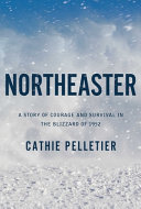 Image for "Northeaster"