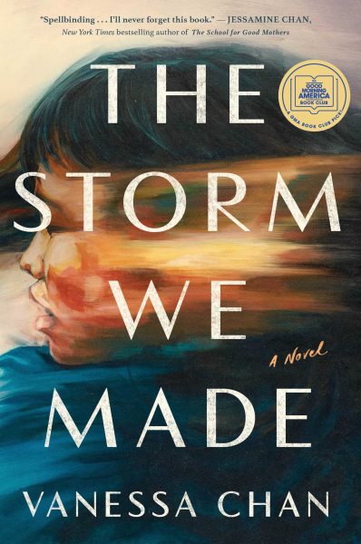 Cover for "The Storm We Made"