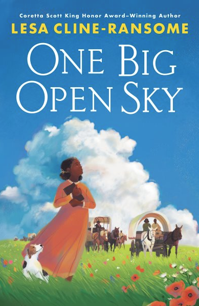 One Big Open Sky Book Cover