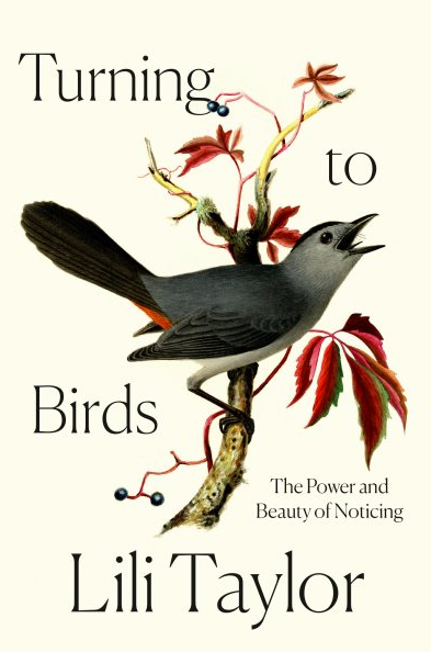 Turning to Birds : The Power and Beauty of Noticing