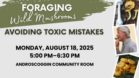 Foraging Wild Mushrooms Avoiding Toxic Mistakes