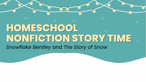 Homeschool Story Time Snow with Fairy Lights