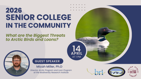 What are the Biggest Threats to Arctic Birds and Loons? (Senior College in the Community)