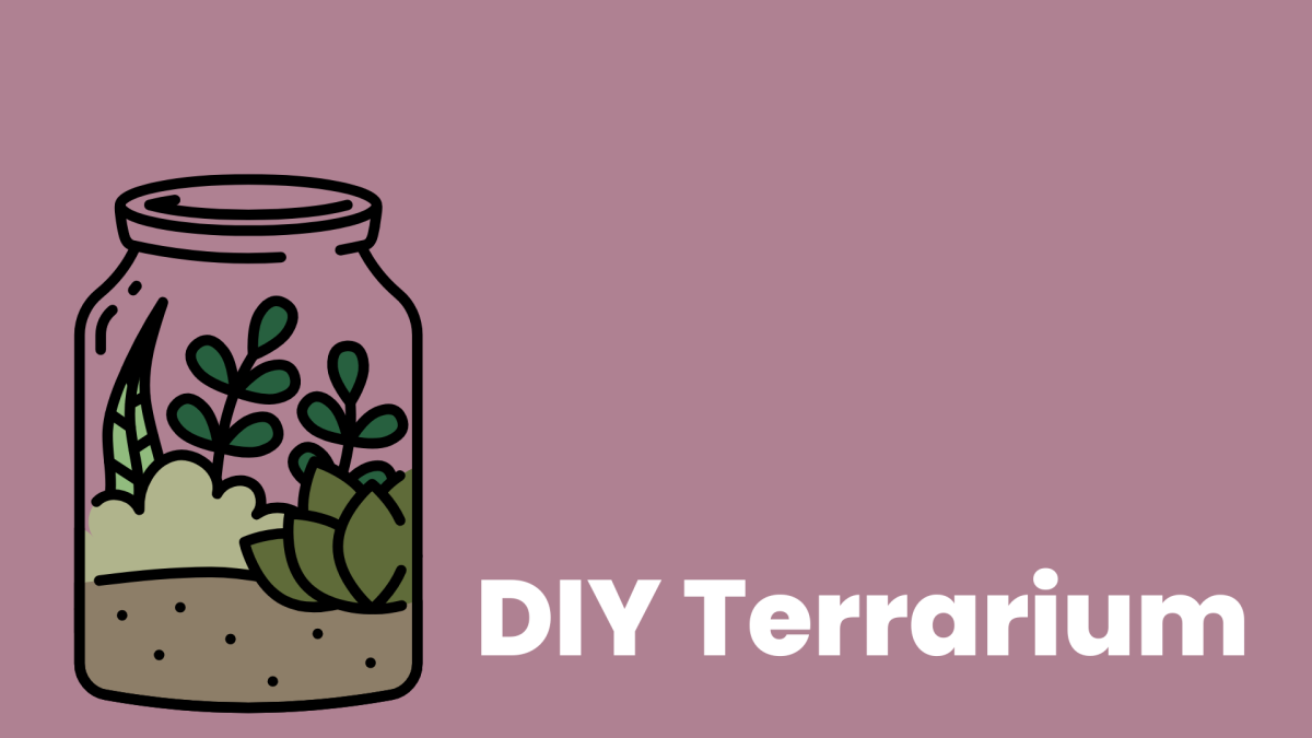 Purple background with drawing of a terrarium