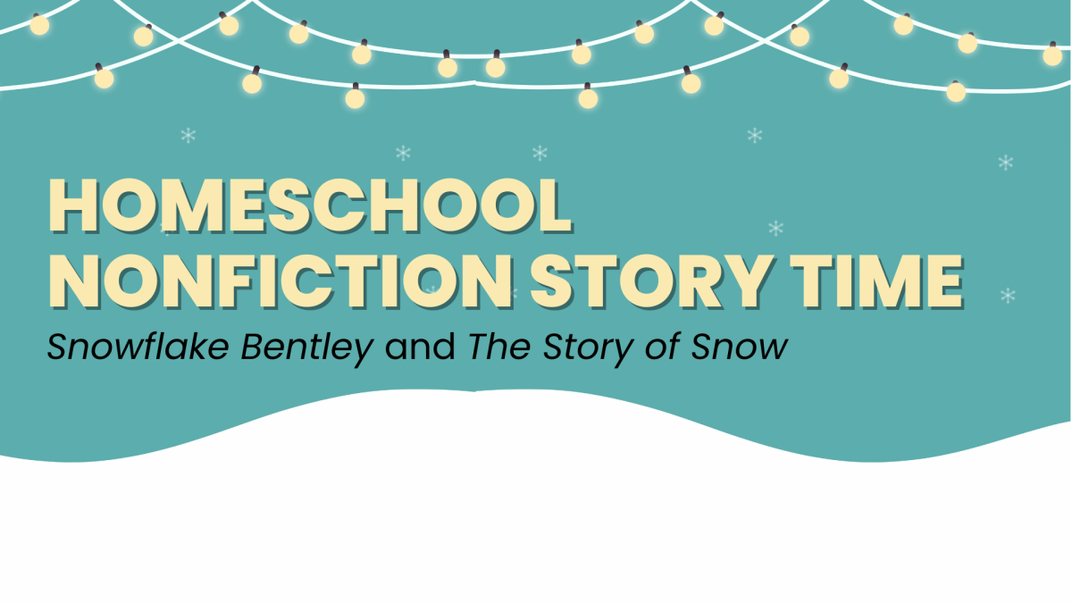 Homeschool Story Time Snow with Fairy Lights