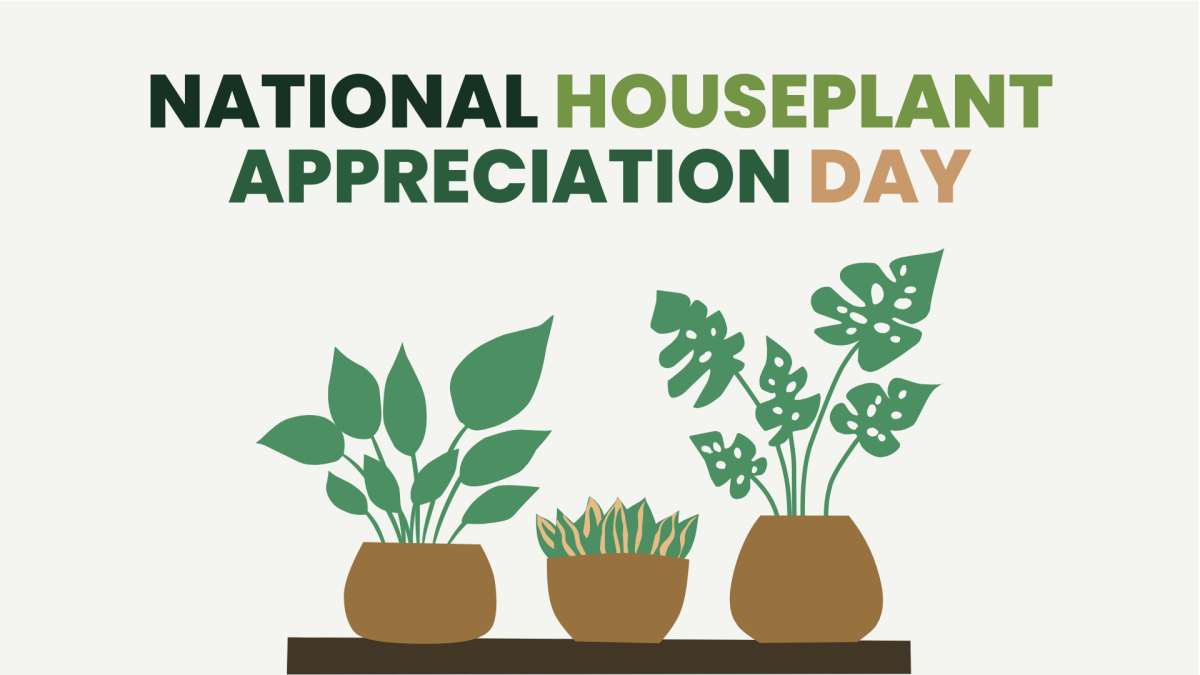 National Houseplant Appreciation Day with three plant images