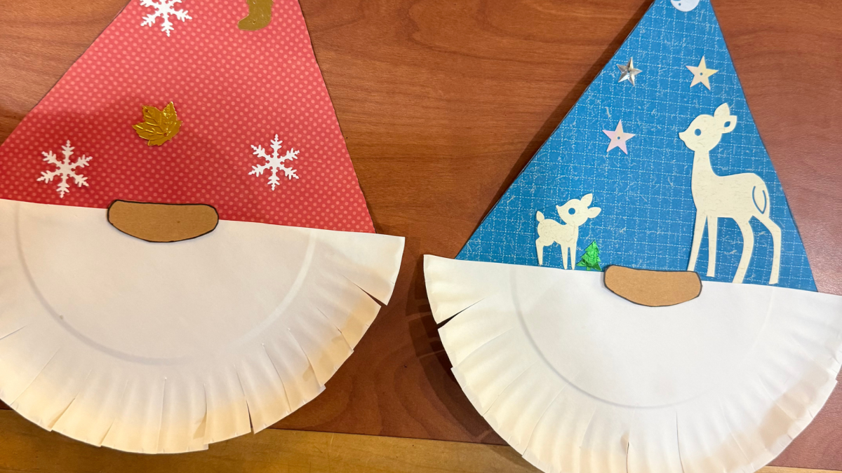 DIY Craft Gnome Face