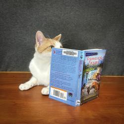 Sunny V.S. Houdini (meow), Book Cover